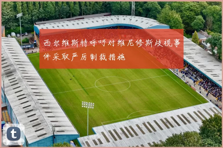 西尔维斯特呼吁对维尼修斯歧视事件采取严厉制裁措施