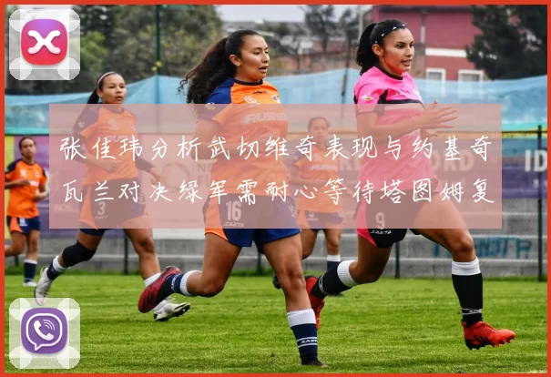 张佳玮分析武切维奇表现与约基奇瓦兰对决绿军需耐心等待塔图姆复出